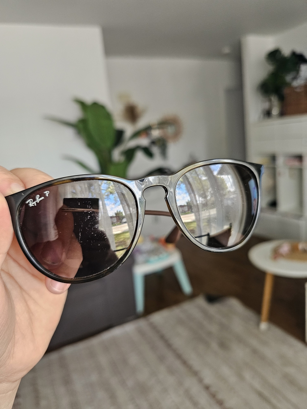 Ray-Ban Black Frame Sunglasses
